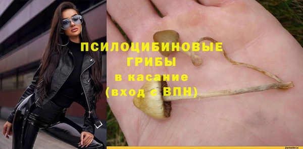PSILOCYBIN Алзамай