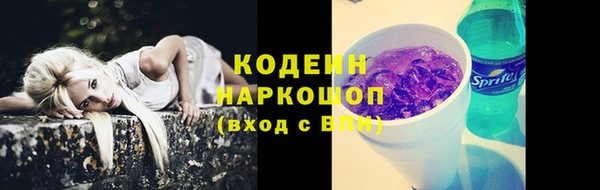 PSILOCYBIN Алзамай