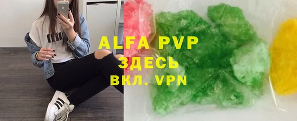 PSILOCYBIN Алзамай