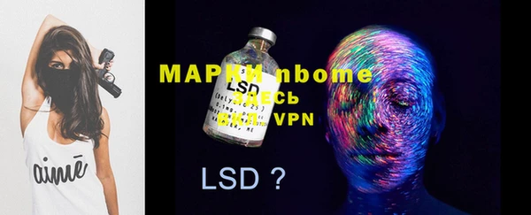 PSILOCYBIN Алзамай