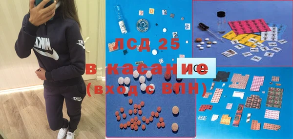 PSILOCYBIN Алзамай