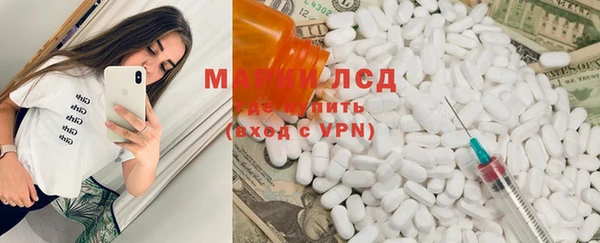ГАЛЛЮЦИНОГЕННЫЕ ГРИБЫ Надым
