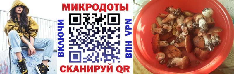Псилоцибиновые грибы мухоморы  Приморск 