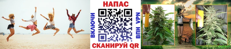 дарк нет как зайти  Приморск  ссылка на мегу рабочий сайт  Канабис OG Kush  где найти наркотики 